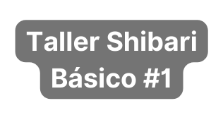 Taller Shibari Básico 1